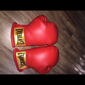 Everlast punching gloves